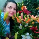  -,   , 27 ,   ,   , c 