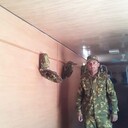 ���������� ������, ���� ������� ����, 29 ���, ������������ ��� ������, ����� � ���������