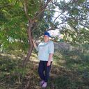 ���������� ������, ���� ������� �����, 49 ���, ������������ ��� ������, ����� � ���������