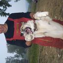 ���������� ������ ��������, ���� ������� Sergofan, 38 ���, ������������ ��� ������