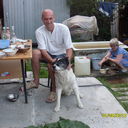  ,   , 56 ,   