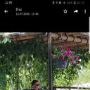  ,   , 37 ,   c 