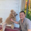 ���������� ��������, ���� ������� ������, 34 ����, ������������ ��� ������, ����� � ���������, c�������� ���������