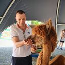 ���������� �������, ���� ������� ������, 52 ����, ������������ ��� ����� � ���������, c�������� ���������