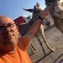 ���������� ������, ���� ������� �������, 46 ���, ������������ ��� c�������� ���������