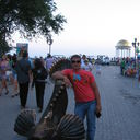  ,   Vadim, 41 ,   ,   , c 