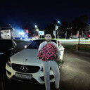 ���������� �����-���������, ���� ������� �����, 31 ���, ������������ ��� ������, ����� � ���������