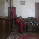 ���������� �����������, ���� ������� ����, 51 ���, ������������ ��� ������