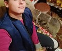  ,   , 28 ,   ,   , c 