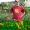 ,   , 46 ,   ,   , c 