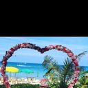 ���������� �������, ���� ������� �������, 53 ����, ������������ ��� ����� � ���������, c�������� ���������