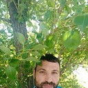 ���������� �����-���������, ���� ������� �������, 37 ���, ������������ ��� ������, ����� � ���������