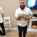 ���������� ������, ���� ������� �����, 48 ���, ������������ ��� ����� � ���������, c�������� ���������