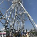 ���������� ������, ���� ������� �����, 54 ����, ������������ ��� ������, ����� � ���������