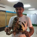 ���������� ������, ���� ������� ����, 38 ���, ������������ ��� ������, ����� � ���������, c�������� ���������