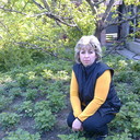  --,   , 58 ,   ,   , c 