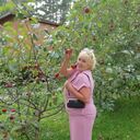 ���������� �����������, ���� ������� �������, 68 ���, ������������ ��� ���������