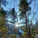 ���������� �����������, ���� ������� ������, 33 ����, ������������ ��� c�������� ���������, ���������