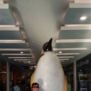  ,   , 33 ,   
