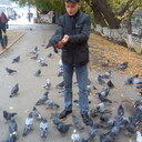 ���������� �����������, ���� ������� �����, 36 ���, ������������ ��� ������, ����� � ���������, c�������� ���������