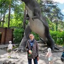 ���������� ���������, ���� ������� �������, 37 ���, ������������ ��� c�������� ���������, ���������