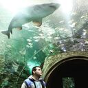  ,   Tomy, 32 ,   ,   , c , 