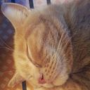  ,   Vlad, 48 ,   ,   , c 