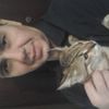   ,   , 49 ,   ,   , c 