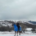 ���������� ��������, ���� ������� ����, 37 ���, ������������ ��� ������