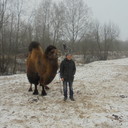 ���������� �����-���������, ���� ������� �����, 46 ���, ������������ ��� ������, ����� � ���������, c�������� ���������