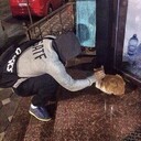   ,   , 30 ,   ,   , c , 