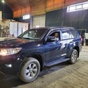 ���������� �����������-��-�����, ���� ������� ������, 37 ���, ������������ ��� ������, ����� � ���������