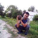  ,   , 45 ,   