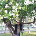 ���������� ����-�����������, ���� ������� �����, 43 ����, ������������ ��� ������, ����� � ���������, c�������� ���������