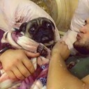 ���������� ������, ���� ������� ����, 32 ����, ������������ ��� ������, ����� � ���������, c�������� ���������