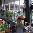 ���������� ���������, ���� ������� ����, 30 ���, ������������ ��� ������, ����� � ���������