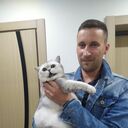 ���������� �����, ���� ������� ����, 43 ����, ������������ 