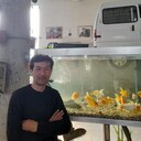 ���������� ���������, ���� ������� ����, 40 ���, ������������ ��� ������, ����� � ���������