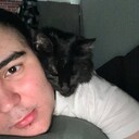 ���������� �����������, ���� ����� ����, 22 ����, ������������ ��� ������, ����� � ���������