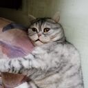 ���������� ������, ���� ������� �����, 45 ���, ������������ ��� ������, ����� � ���������, c�������� ���������