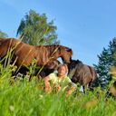 ���������� ���, ���� ������� ������, 42 ����, ������������ ��� ������, ����� � ���������