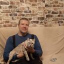 ���������� �������, ���� ������� �������, 45 ���, ������������ ��� c�������� ���������