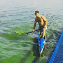  --,   , 31 ,   ,   , 