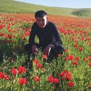  ,   , 29 ,     , c 