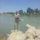  ,   Roma, 46 ,   ,   