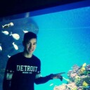 ���������� ����-���������, ���� ������� ����, 29 ���, ������������ ��� ������