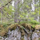 ���������� �����-���������, ���� ������� ������, 57 ���, ������������ ��� ����� � ���������, c�������� ���������, ���������