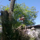 ���������� ������, ���� ������� ������, 38 ���, ������������ ��� ������