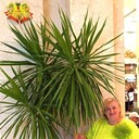 ���������� ���������, ���� ������� �������, 50 ���, ������������ ��� ������, ����� � ���������