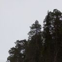  ,   , 46 ,   c 